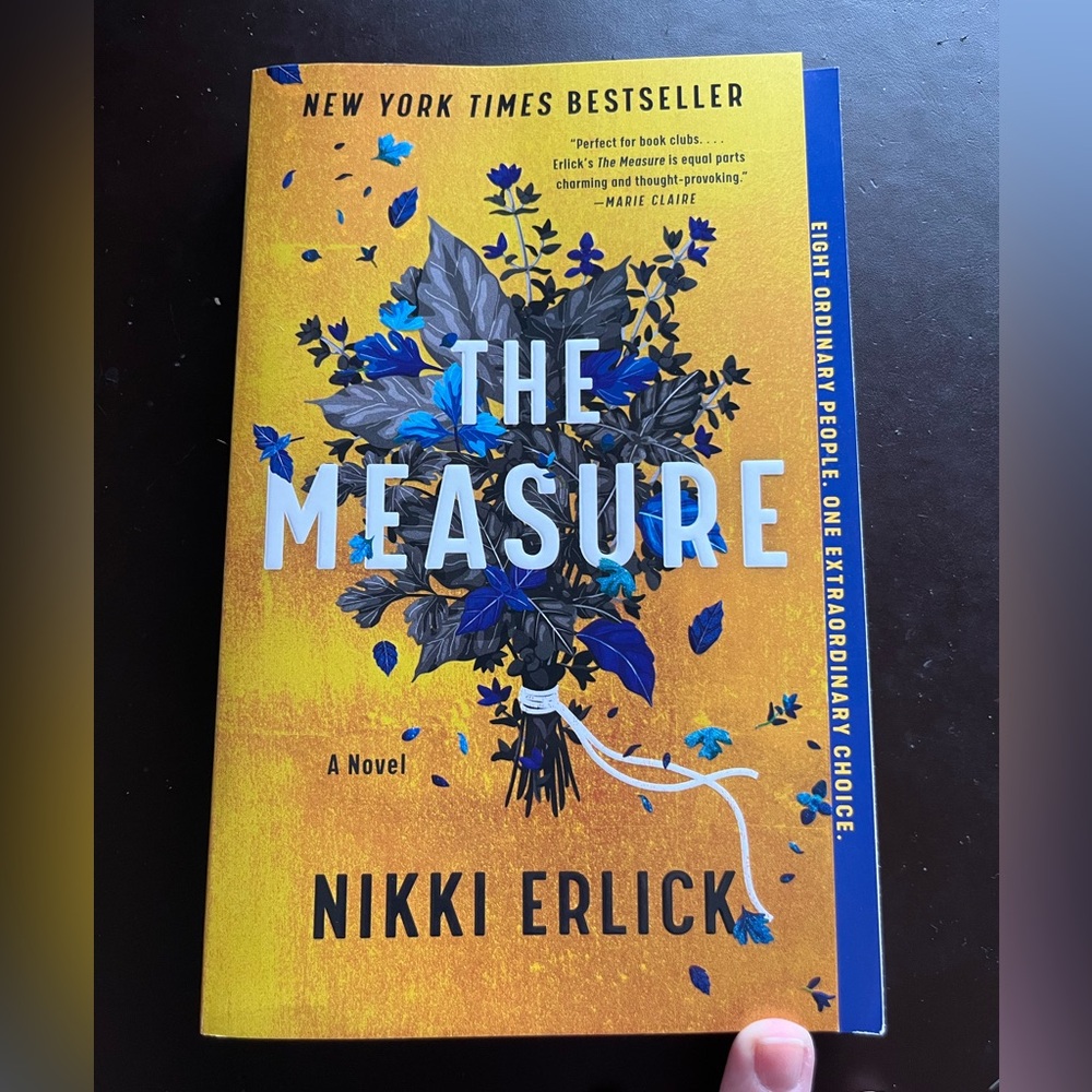 The Measure by Nikki Erlick Book